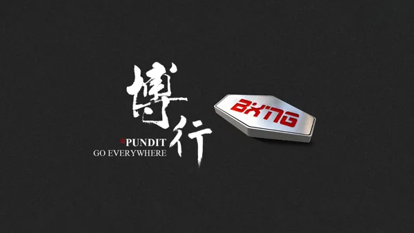 Anhui Boxing Machinery Co., Ltd. product 2