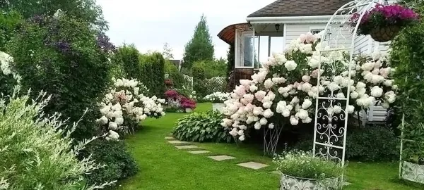 Changzhou Garden Decoration Products Co., Ltd. product 3