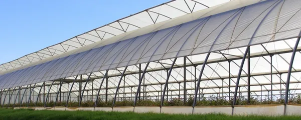 Qingdao Fuyong Plastic Products Co., Ltd. product 1